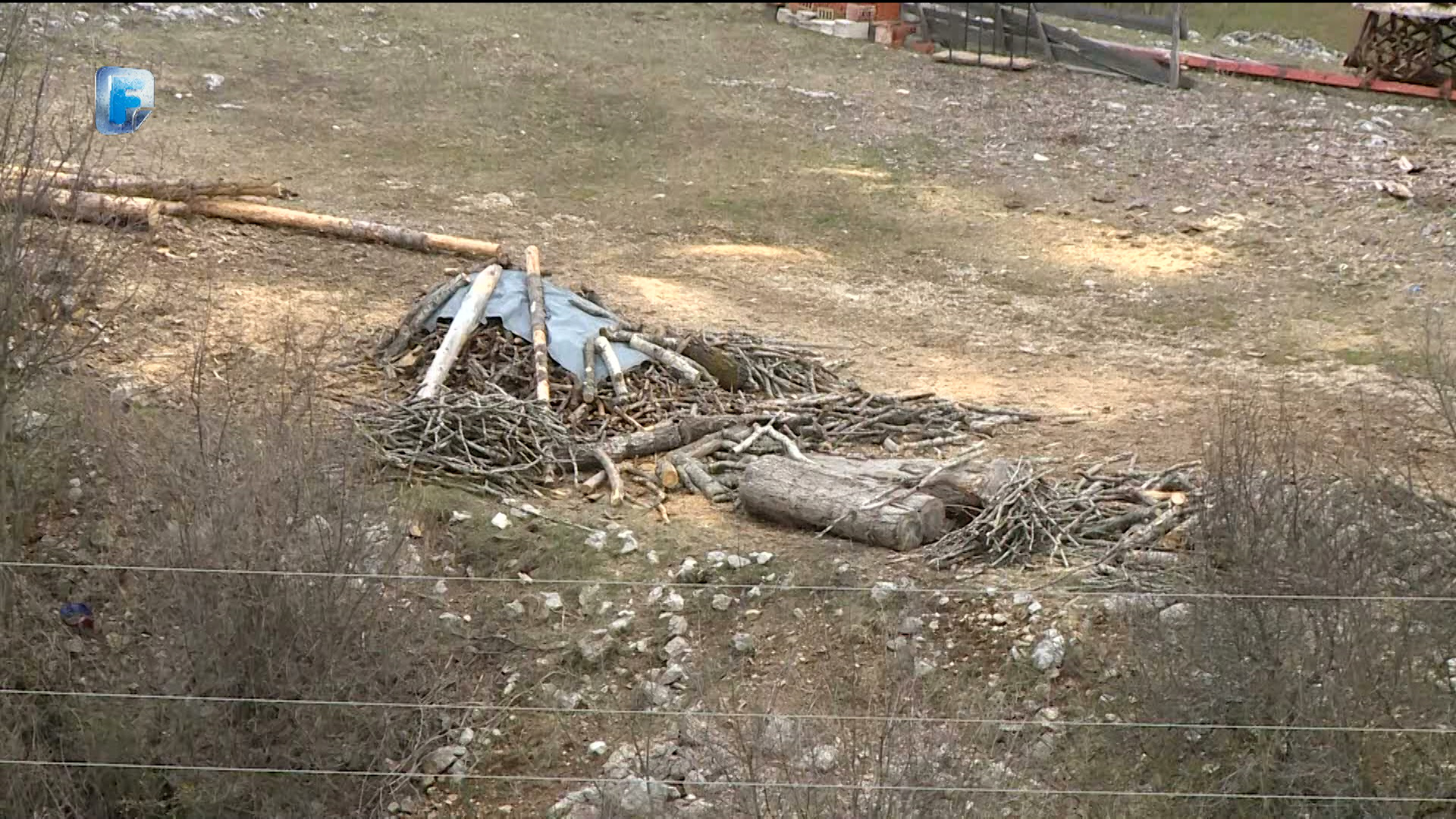 U HNK-u se više od desetljeća nekontrolirano siječe šuma – nema zakona
